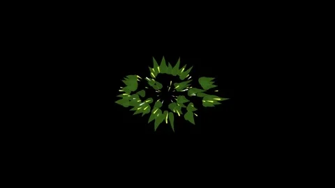 Green leaf element animation with botanical particles moving in a circle on.. Stock Footage 348191981