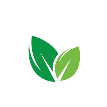 Green leaf element  icon of nature concept  design template Illustrazione stock
