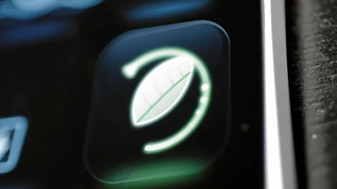 Green leaf enclosed by segmented efficiency ring 库存影片 344847858