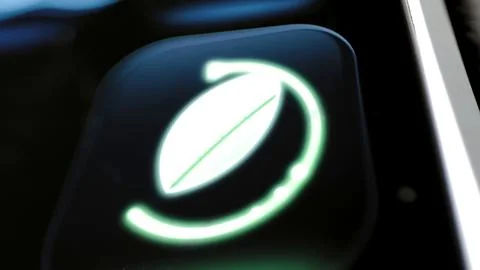 Green leaf enclosed by segmented efficiency ring Stock Photos