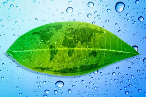 Green leaf environment concept save the earth. Stock Illustration