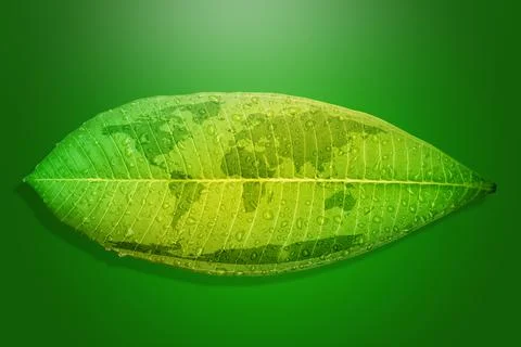 Green leaf environment concept save the earth. Stock Illustration