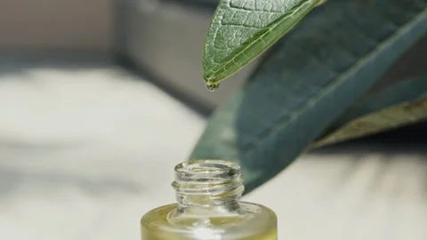 Green Leaf with Essential Oil Drops, Natural Therapy. Stock Footage 301272662