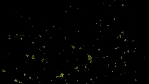 Green leaf falling against black background Stock-Footage 123210794