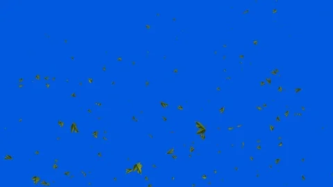 Green leaf falling against Blue Screen Chromakey 스톡 동영상 124148709
