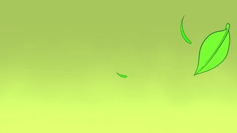 Green Leaf Falling Gracefully Animation of Nature Beauty Stock Footage 301773597