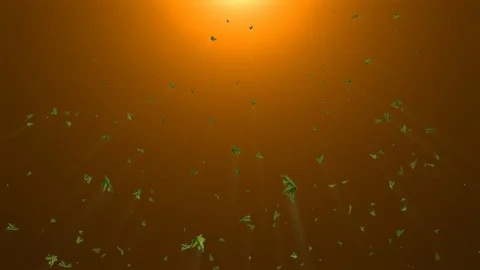 Green leaf falling under bright light Video stock 125314521