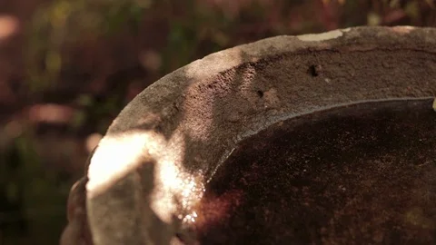 Green leaf falls into an old cement bird bath and gently floats. Stock Footage 92460197