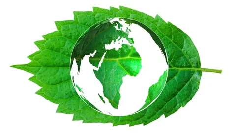 Green leaf featuring a subtle global world map pattern printed on its surface. Stock Footage 340210193