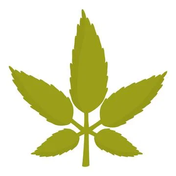 Green leaf with five lobes growing on white background Stock Illustration