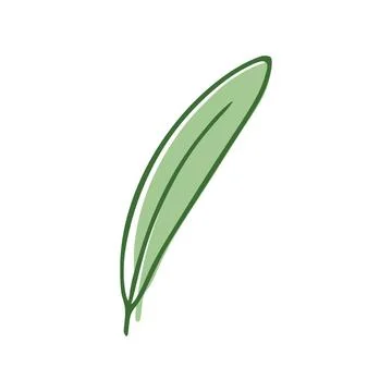 Green Leaf flat icon isolated on white background. Vector illustration Gre... Foto stock