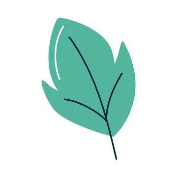 Green leaf foliage 스톡 일러스트