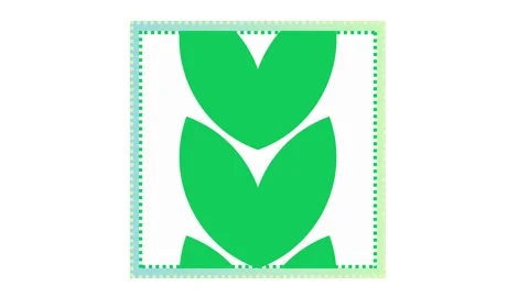 Green leaf with frame animation video on white background Stock Footage 344250580
