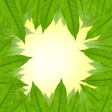 Green leaf frame background Stock Illustration