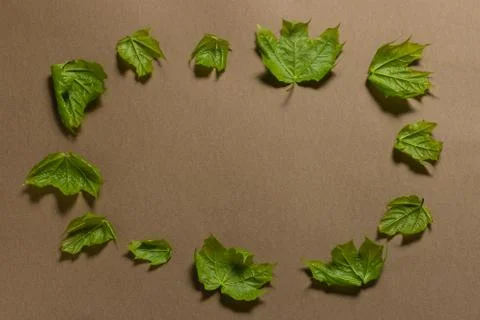 Green leaf frame on a brown background. place for text. natural banner concept Stock Photos