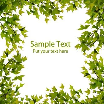 Green leaf frame Stock Illustration