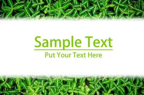 Green leaf frame Stock Illustration