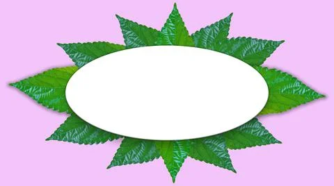 Green leaf frame isolated on pink background For illustration or other design Stock Illustration