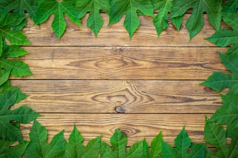 Green leaf frame over old wooden texture background. with space for text. top Foto stock