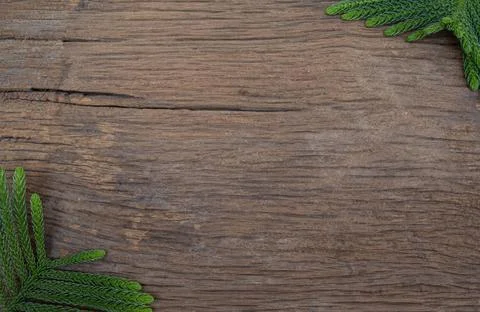 Green leaf frame over old wooden texture background. with space for text. top Stock Photos