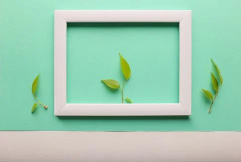 Green leaf in a frame Stock Photos