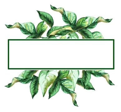 Green leaf. Frame. Watercolor Stock Illustration