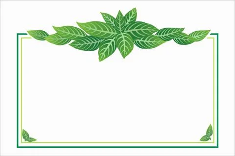 Green leaf with a fresh feeling. Stock Illustration