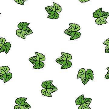 Green leaf grape vector seamless pattern イラスト素材