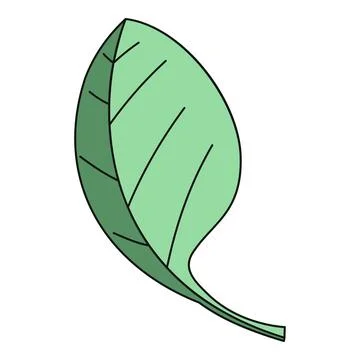 Green leaf graphic isolated on white background Illustration