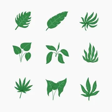 Green leaf hand drawn vector illustration Stock Illustration
