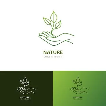 Green leaf on human hand icon, logo sign emblem design template. Vector growt Stock Illustration