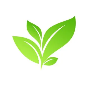 Green Leaf Icon design Vector Illustration Stock Illustration