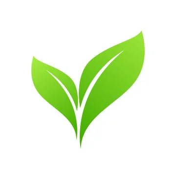 Green Leaf Icon design Vector Illustration Stock Illustration