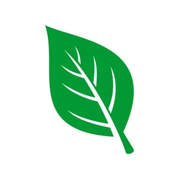 Green Leaf Icon Illustration Vector Template Stock Illustration