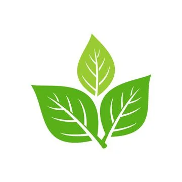 Green Leaf Icon Illustration Vector Template Stock Illustration