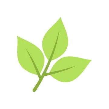 Green Leaf Icon Illustration Vector Template Stock Illustration