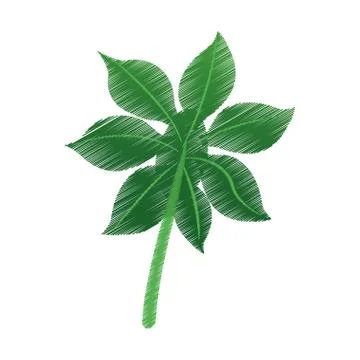 Green leaf icon image Stock Illustration