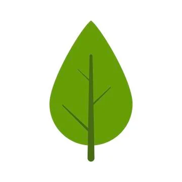 Green Leaf icon isolated on white background. Vector illustration Stock Illustration