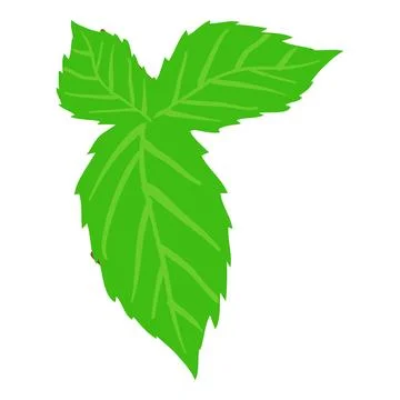 Green leaf icon isometric vector. Realistic bright green leaf of tree or bush Stock Illustration