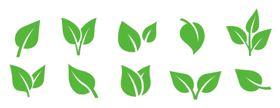 Green leaf icon set. Vector flat illustration of organic sprouts, plant lea.. Stock Illustration