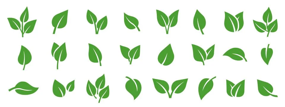 Green leaf icon set. Vector flat illustration of organic sprouts, plant lea.. Stock Illustration