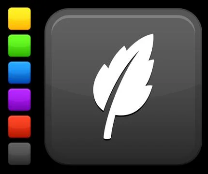 Green leaf  icon on square internet button 스톡 일러스트