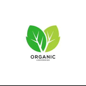 Green Leaf Icon Vector Logo Template Stock Illustration