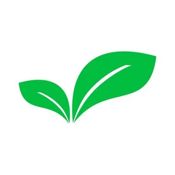 Green leaf icon on white background for graphic and web design. Stock Illustration