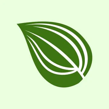 Green leaf icon on white background. Nature symbol. Leaf bones Stock Illustration
