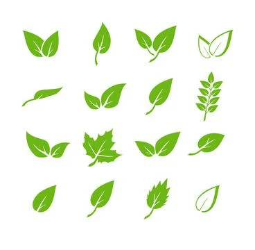 Green leaf icons set. Elements design for natural, eco, vegan. Leaves icon on Ilustración de archivo