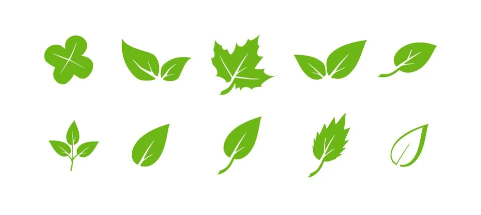Green leaf icons set. Elements design for natural, eco, vegan. Leaves icon on 스톡 일러스트