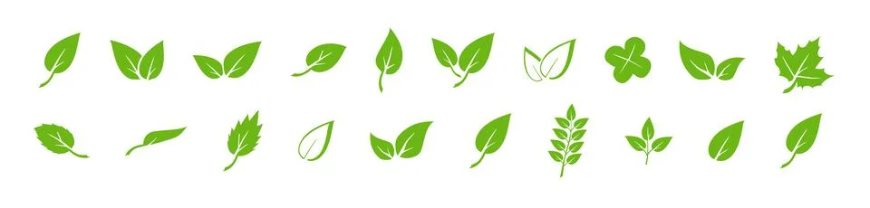 Green leaf icons set. Elements design for natural, eco, vegan. Leaves icon on Ilustración de archivo