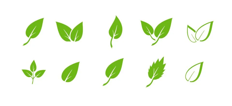 Green leaf icons set. Elements design for natural, eco, vegan. Leaves icon on Ilustración de archivo