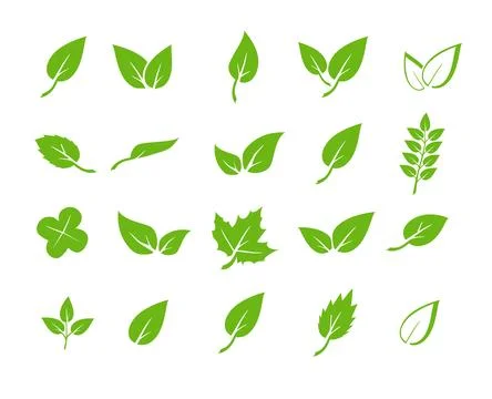 Green leaf icons set. Elements design for natural, eco, vegan. Leaves icon on Illustrazione stock